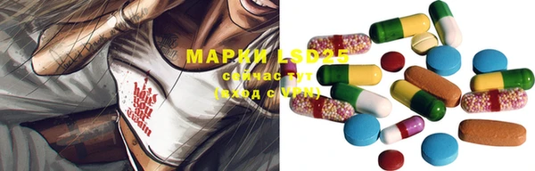 стаф Беломорск
