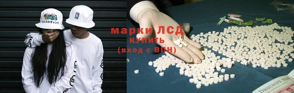 ГАЛЛЮЦИНОГЕННЫЕ ГРИБЫ Белоозёрский