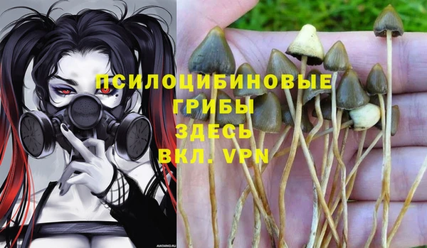 стаф Беломорск