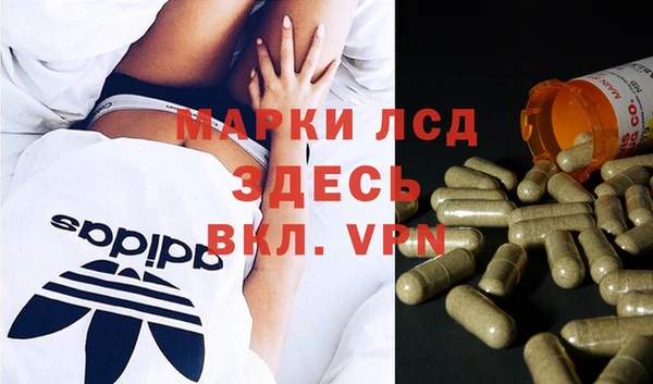 ПСИЛОЦИБИНОВЫЕ ГРИБЫ Баксан