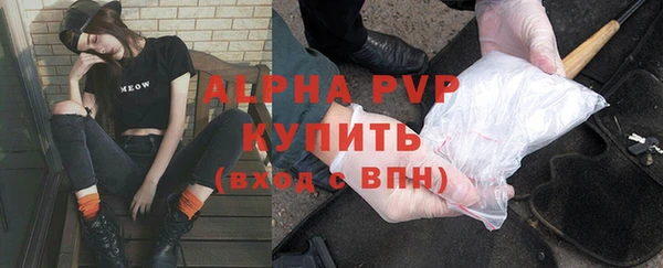 стаф Беломорск
