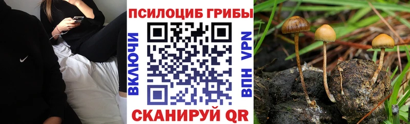 Галлюциногенные грибы мухоморы Белогорск